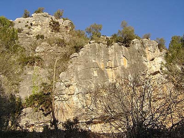 Casa de colonies_Visites properes 008